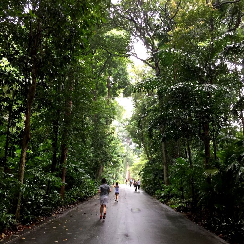 IMG-20160124-WA0009e