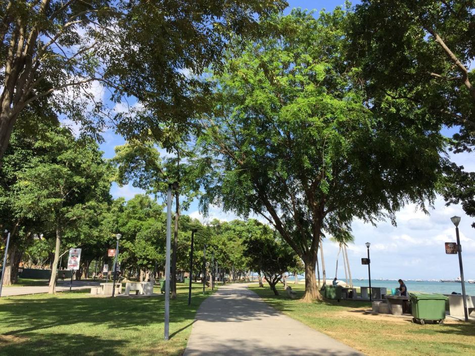 IMG-20160410-WA0005e