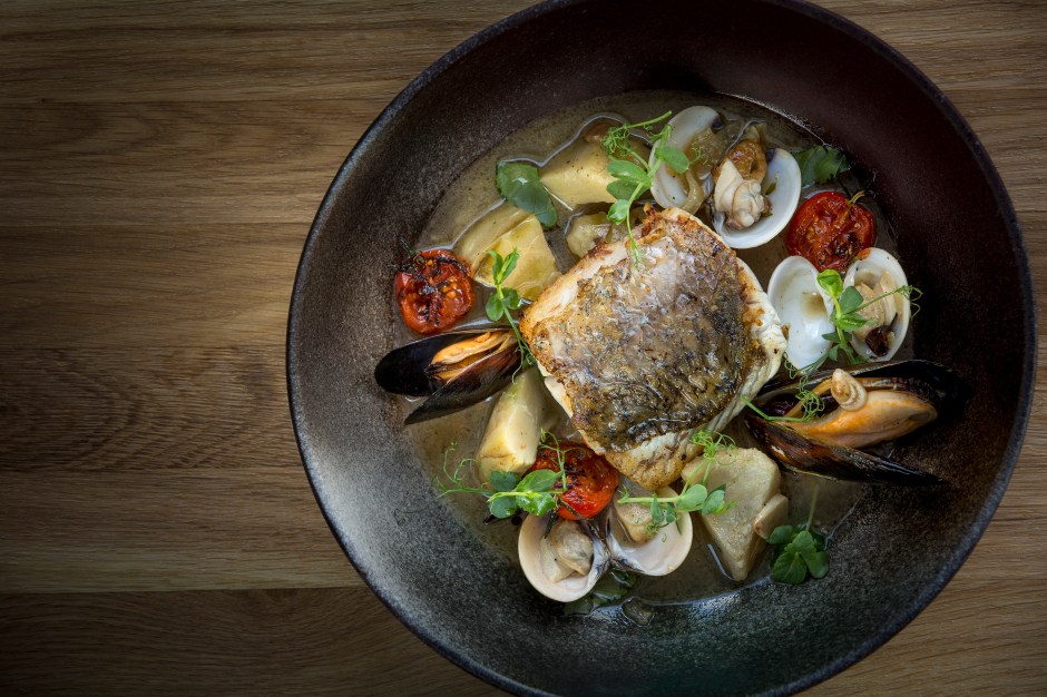 new-opus-wild-sea-bass