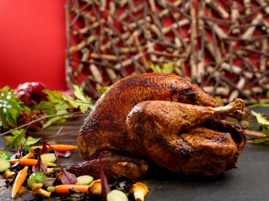 roasted-turkey-with-traditional-vegetables-and-gravy-giblet-served-with-cranberry-sauce-for-festive-takeaway